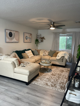 704 Brigadoon Dr in Clearwater, FL - Building Photo - Building Photo