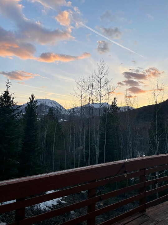 347 Deer Path Rd in Dillon, CO - Building Photo