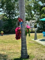 10464 106th Ave N in Largo, FL - Building Photo