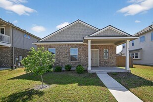 221 Arabian Colt Dr in Georgetown, TX - Building Photo