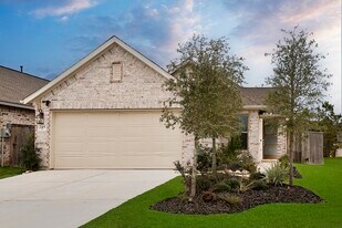 249 Trapper Creek Dr in Conroe, TX - Building Photo