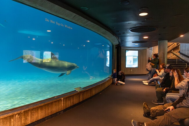 Apartamentos Alquiler en Downtown Towson, MD