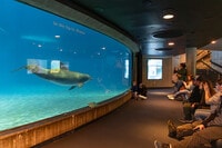 Apartments in Towson, MD