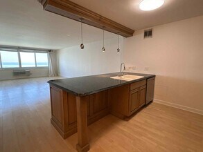 1440 N Lake Shore Dr, Unit 21E in Chicago, IL - Building Photo - Building Photo