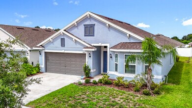 14917 Tropical Violet Wy in Wimauma, FL - Building Photo - Building Photo