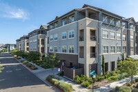 1661 Spring St in Davis, CA - Foto de edificio - Building Photo