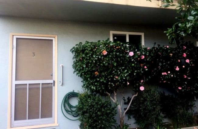 40 Ross Ave in San Anselmo, CA - Building Photo - Building Photo