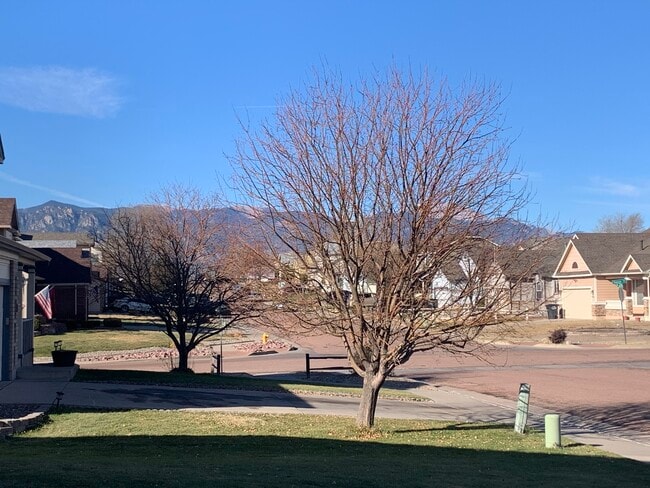 5615 Marabou Way in Colorado Springs, CO - Building Photo - Building Photo