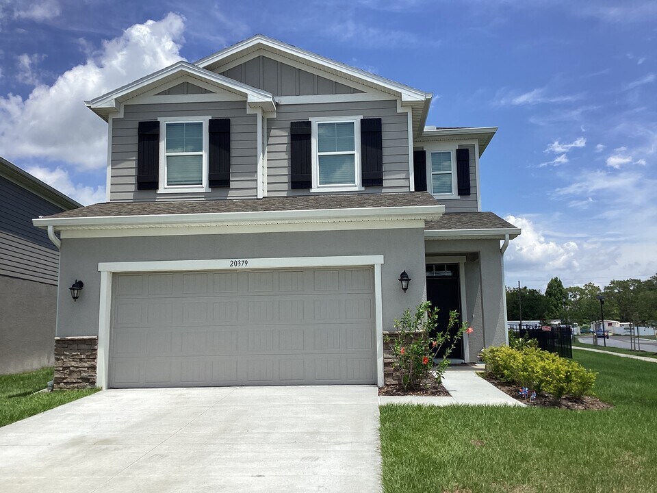 20379 Calla Lily Dr in Land O Lakes, FL - Building Photo