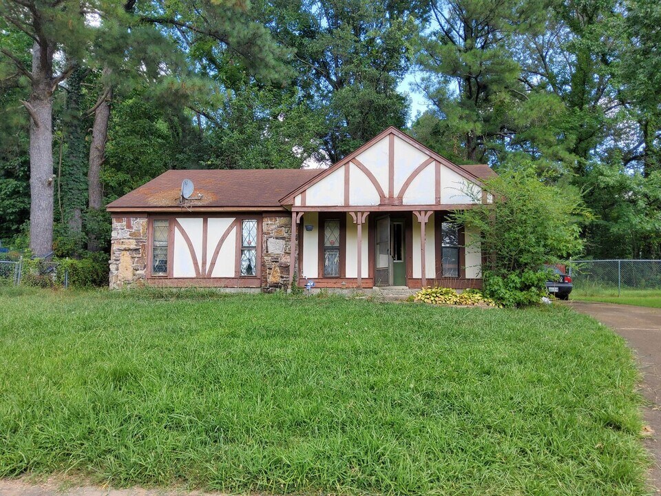 3907 Lowin Cove in Memphis, TN - Building Photo