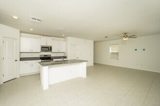 17884 Beaming Rays Ln in Lutz, FL - Foto de edificio - Building Photo
