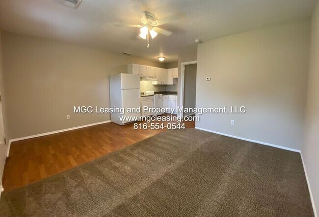 309 SE Grand Ave in Lee's Summit, MO - Building Photo - Building Photo