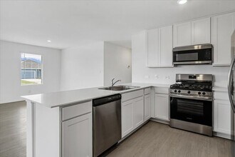 239 Twilight Breeze Wy in Hutto, TX - Building Photo - Building Photo