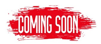 127 Country Oaks St in Brazoria, TX - Building Photo