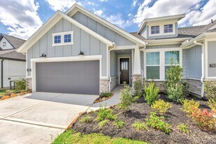 7819 Cattail Shallows Ln in Katy, TX - Building Photo
