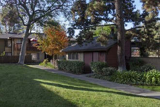 Canyon Pines Apartments in Brea, CA - Building Photo - Building Photo