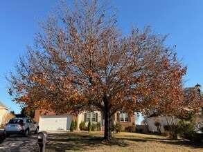 117 Spring Tyme Ln in Lexington, SC - Building Photo - Building Photo