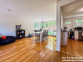 119 Chestnut St in Brookline, MA - Building Photo