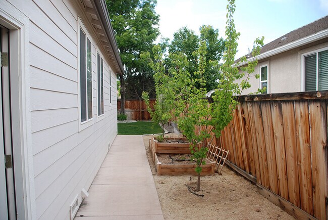 2605 Venezia Dr in Sparks, NV - Building Photo - Building Photo