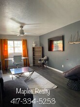 367 Sherry Ln in Branson, MO - Building Photo - Building Photo