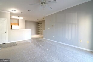 5117 Travis Edward Way in Centreville, VA - Building Photo