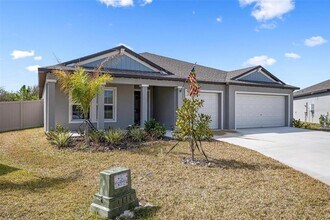 13156 Shimmering Amethyst Ct in Parrish, FL - Building Photo - Building Photo