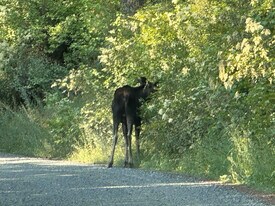 19602 E Onyx Ln in Spokane, WA - Building Photo