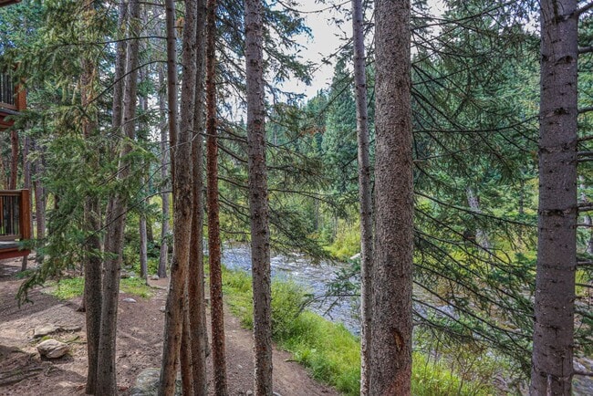 815 Columbine Rd in Breckenridge, CO - Building Photo - Building Photo