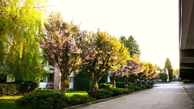 Cedar Lodge Apartments in Surrey, BC - Building Photo - Building Photo