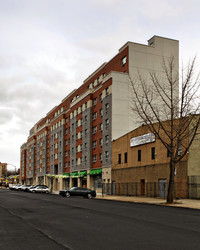 Louis Nine Boulevard Apartments in Bronx, NY - Foto de edificio - Building Photo