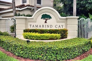 11271 Tamarind Cay Ln in Ft. Myers, FL - Building Photo