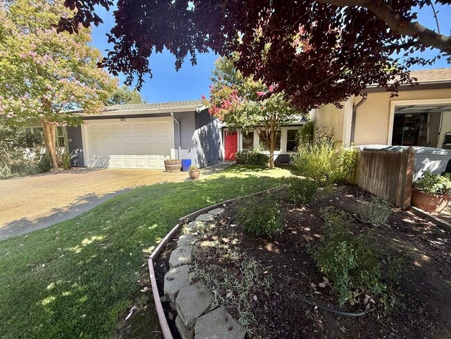 259 Baja Ave in Davis, CA - Building Photo - Building Photo