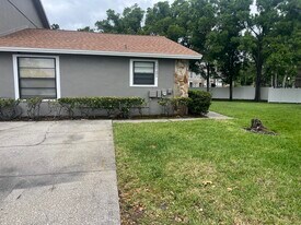 10101 Lake Oak Cir in Tampa, FL - Building Photo