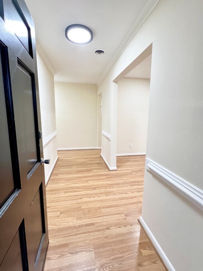 209 Green Springs Ct in Virginia Beach, VA - Building Photo - Building Photo