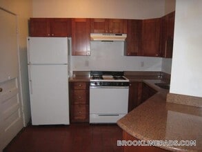 66 Egmont St in Brookline, MA - Building Photo - Building Photo