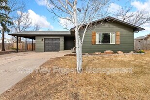 918 Woodbine Dr in Windsor, CO - Building Photo
