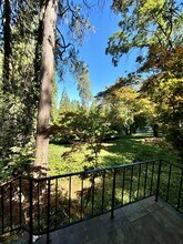 11279 Marjon Dr in Nevada City, CA - Building Photo - Building Photo