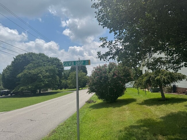 property at 113 Silver Drop Ln