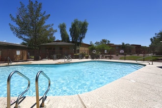 San Bellino in Glendale, AZ - Foto de edificio - Building Photo