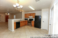 319 Amberdale Oak in San Antonio, TX - Building Photo - Building Photo