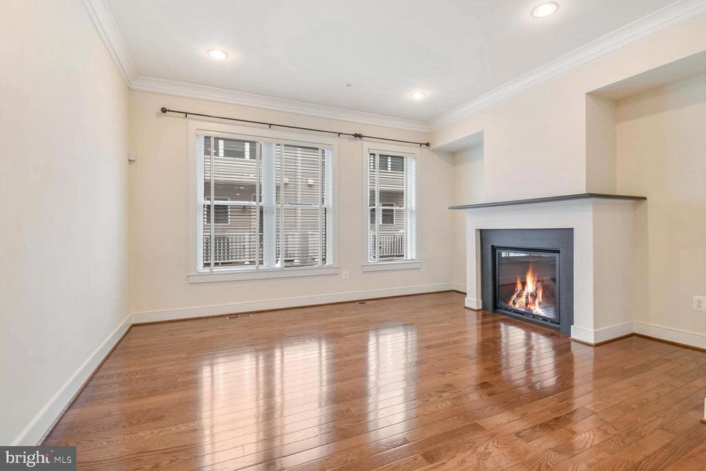 533 Regent Pl NE in Washington, DC - Building Photo