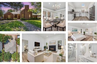 922 Sycamore Creek Rd in Allen, TX - Building Photo