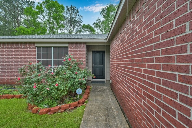 16376 Sun View Ln in Conroe, TX - Building Photo - Building Photo