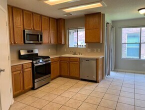 19523 Maywood Falls Cir in Houston, TX - Building Photo - Building Photo
