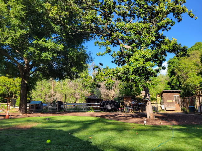 601 Pine Creek Rd in Walnut Creek, CA - Foto de edificio - Building Photo