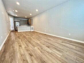 2065 N Downing St in Denver, CO - Building Photo - Building Photo