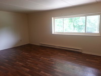 Pinetree Apartments photo'