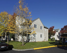 Wildflower Apartments