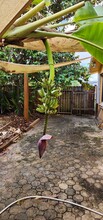 9825 SW 132nd Ct in Miami, FL - Building Photo - Building Photo