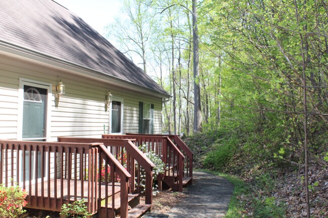 308 Car-Mol Dr in Johnson City, TN - Building Photo - Building Photo
